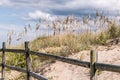 Fence with beach grass and dunes in Summer Royalty Free Stock Photo