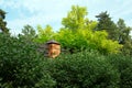 Fence with brick around green benjamin ficus trees and pines