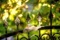 Fence with cast iron ornament and view to green Royalty Free Stock Photo