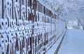 Fence of a city park in the snow, perspective of a path, winter landscape Royalty Free Stock Photo