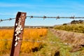 Fence On Countryside Landscape with many snail shells