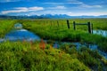 Fence and Creek along a rich green Marsh Royalty Free Stock Photo