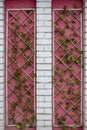 Fence from decorative panels from the lattice with green lianas