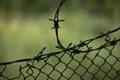 Fence in detail. Fence around house. Barrier for outsiders