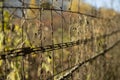 Fence in detail. Fence around house. Barrier for outsiders Royalty Free Stock Photo