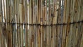 Fence of dry reeds as natural ecologic background