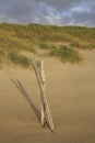 Fence and dunes, The Netherlands Royalty Free Stock Photo