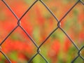 Fence fence fence enclosure protection wire particular separation Royalty Free Stock Photo