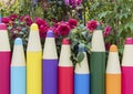 Fence in flower Garden Royalty Free Stock Photo