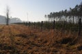 Fence in the foggy meadow with trees in the autumn with blue sky and brown grass. Landscape  in the early morning Royalty Free Stock Photo