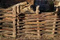 Fence in the form of a rural wattle fence Royalty Free Stock Photo