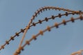 Old rusty barbed wire Royalty Free Stock Photo