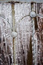 Fence frozen in ice