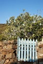 Fence and garden gate Royalty Free Stock Photo