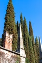 Fence of giusti garden in Verona city in spring