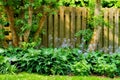 Fence, grass and backyard with plants in garden with flowers in nature with tree in summer. Trees, garden and fences Royalty Free Stock Photo