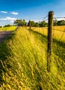 Fence and grasses along a road at Antietam National Battlefield, Maryland. Royalty Free Stock Photo