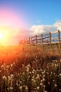 Fence in the green field under blue cloud sky Royalty Free Stock Photo