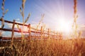 Fence in the green field under blue cloud sky Royalty Free Stock Photo