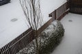 Fence green hedge trimmed in garden yard lawn trees in a row alley evergreen edge round edge. drone view of snowy fence, gate and Royalty Free Stock Photo