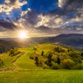 Fence on hillside near forest in mountain at sunset