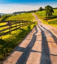 Fence and horses along a country backroad in rural York County, Royalty Free Stock Photo