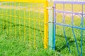 Fence in kindergarten, iron colored fence and green grass Royalty Free Stock Photo