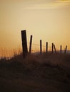 Fence in late Evening Light Royalty Free Stock Photo