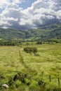 Fence leading to trees and rocky mountains Royalty Free Stock Photo