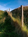 Fence Line