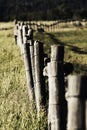 Fence Line