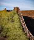 Fence line through the field