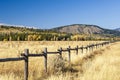 Log Fence Bordering Wyoming Field