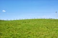 Fence-lined green field under the beautiful blue sky in Scotland, UK Royalty Free Stock Photo