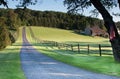 Fence lined road leading to farm and fields