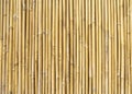 fence made of bamboo