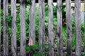 A fence made of boards in the country.