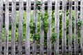 A fence made of boards in the country.