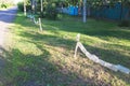 Fence made of old plastic bottles Royalty Free Stock Photo