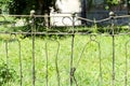 Fence made of rusty metal rods. Very old and rusty. The background is blurred (green grass). Royalty Free Stock Photo