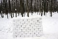 A fence made of snow bricks, built for playing in the forest