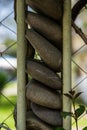 A fence made of stones. A column of round stones Royalty Free Stock Photo