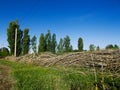 A fence made of tree branches Royalty Free Stock Photo