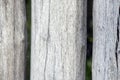 A fence made of tree trunks Royalty Free Stock Photo