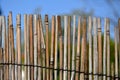 A fence made of twigs garden Royalty Free Stock Photo