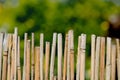 A fence made of twigs in the garden Royalty Free Stock Photo