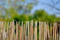 A fence made of twigs in the garden Royalty Free Stock Photo