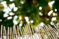 A fence made of twigs in the garden Royalty Free Stock Photo