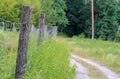 Fence made of wood and forest mesh. Tree nursery, protection against wild boars (ASF prevention). Royalty Free Stock Photo