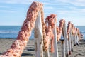 A fence made of wooden logs and rope rope in the sand on the dock on the beach promenade near the sea in Italy Royalty Free Stock Photo